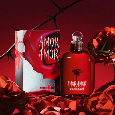 amor-amor___250606.webp
