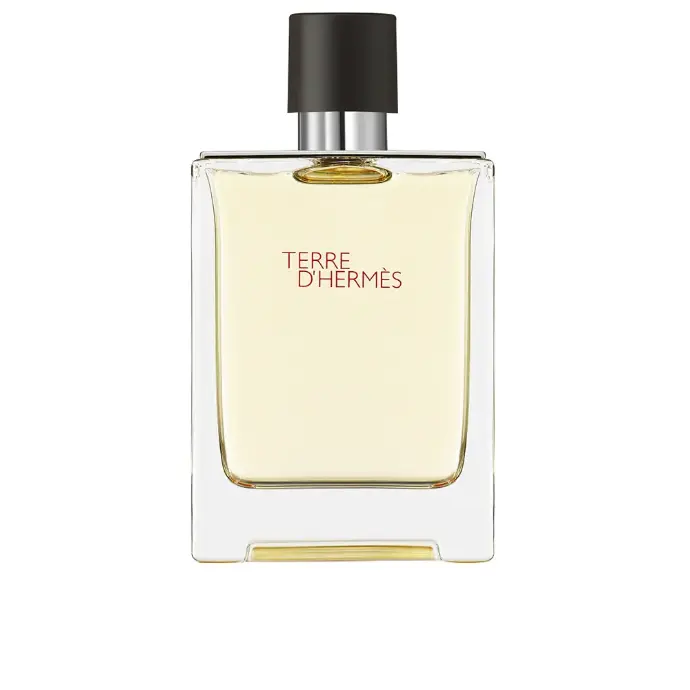 Hermes Terre D'Hermes Eau De Toilette Spray 100ml