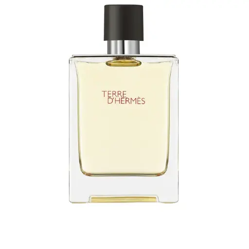 Hermes Terre D'Hermes Eau De Toilette Spray 100ml
